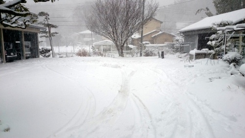 雪２