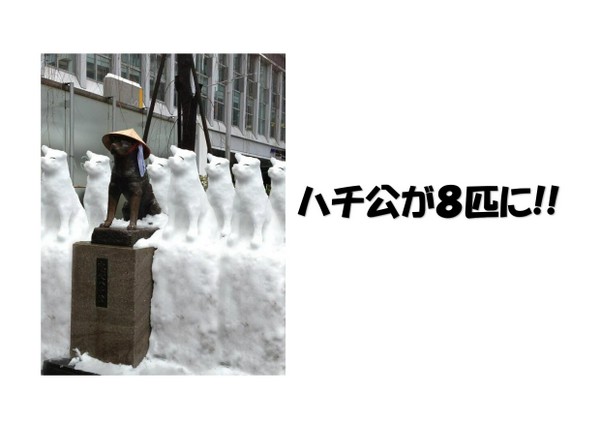 雪1